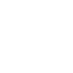 Saitensprung Logo